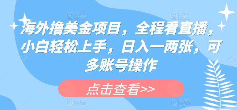 海外撸美金项目，全程看直播，小白轻松上手，日入一两张，可多账号操作【揭秘】-我爱自学网