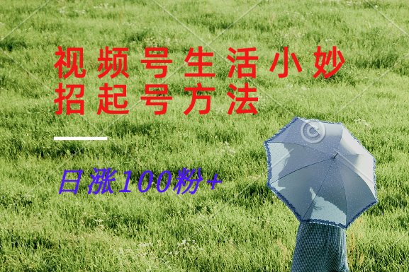 视频号生活小妙招分享赛道， 起号涨粉新方法，日涨100粉-我爱自学网