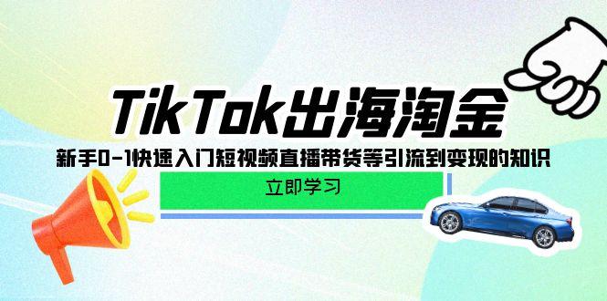 (10035期)TikTok-出海淘金，新手0-1快速入门短视频直播带货等引流到变现的知识-我爱自学网