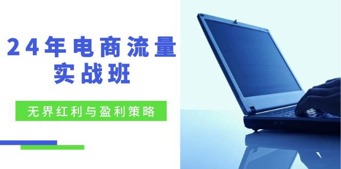 24年电商流量实战班：无界 红利与盈利策略，终极提升/关键词优化/精准…-我爱自学网