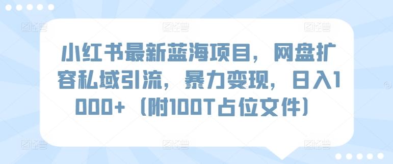小红书最新蓝海项目，网盘扩容私域引流，暴力变现，日入1000+(附100T占位文件)【揭秘】-我爱自学网