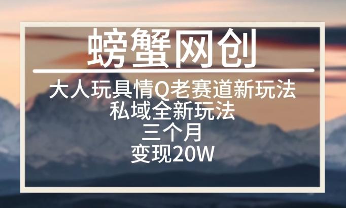 大人玩具情Q用品赛道私域全新玩法，三个月变现20W，老项目新思路【揭秘】-我爱自学网